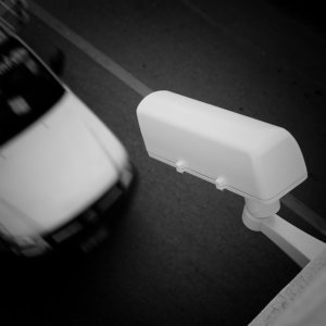 (anthropologisch-biometrisches Identitätsgutachten)