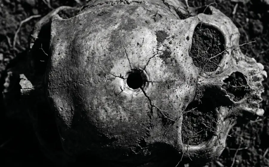 A buried skull in a garden uncovered by modern forensic science