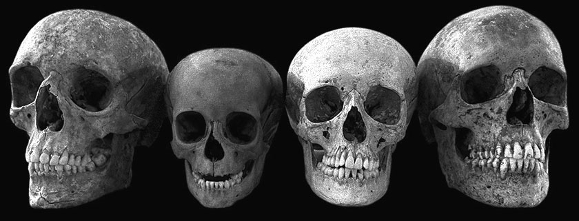 Real Skulls Legal