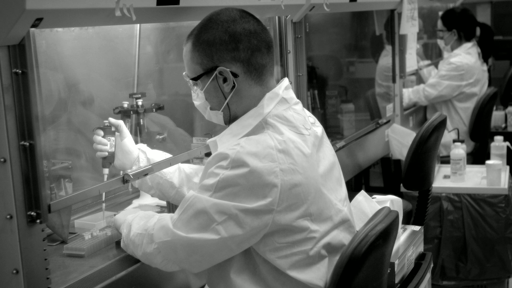 Forensic DNA analyst preparing a sample inside a laboratory safety cabinet.